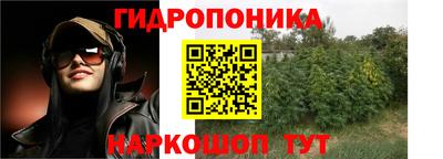 бошки Обь