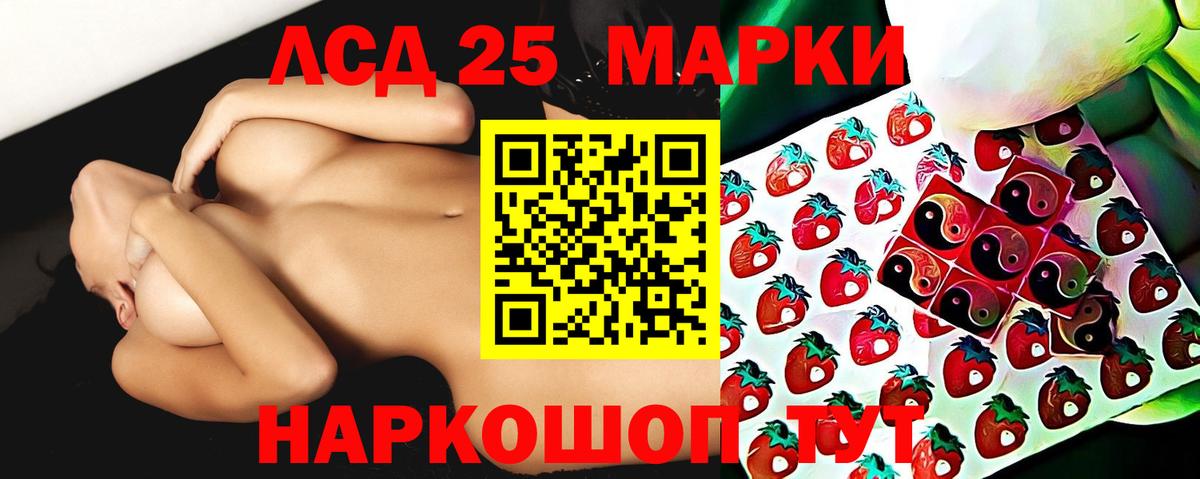 Новозыбков  ЛСД экстази ecstasy    ТОР  LSD-25 экстази ecstasy  Вход с VPN 