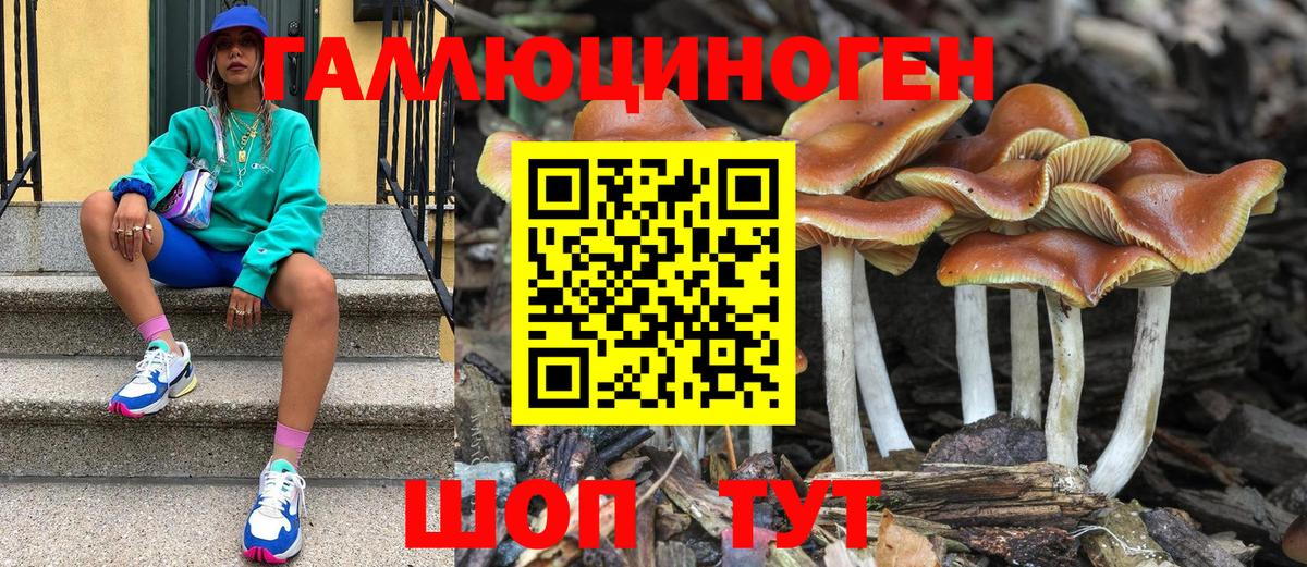 Галлюциногенные грибы MAGIC MUSHROOMS  Псилоцибиновые грибы Psilocybe  Вход с VPN  даркнет сайт  Новозыбков 