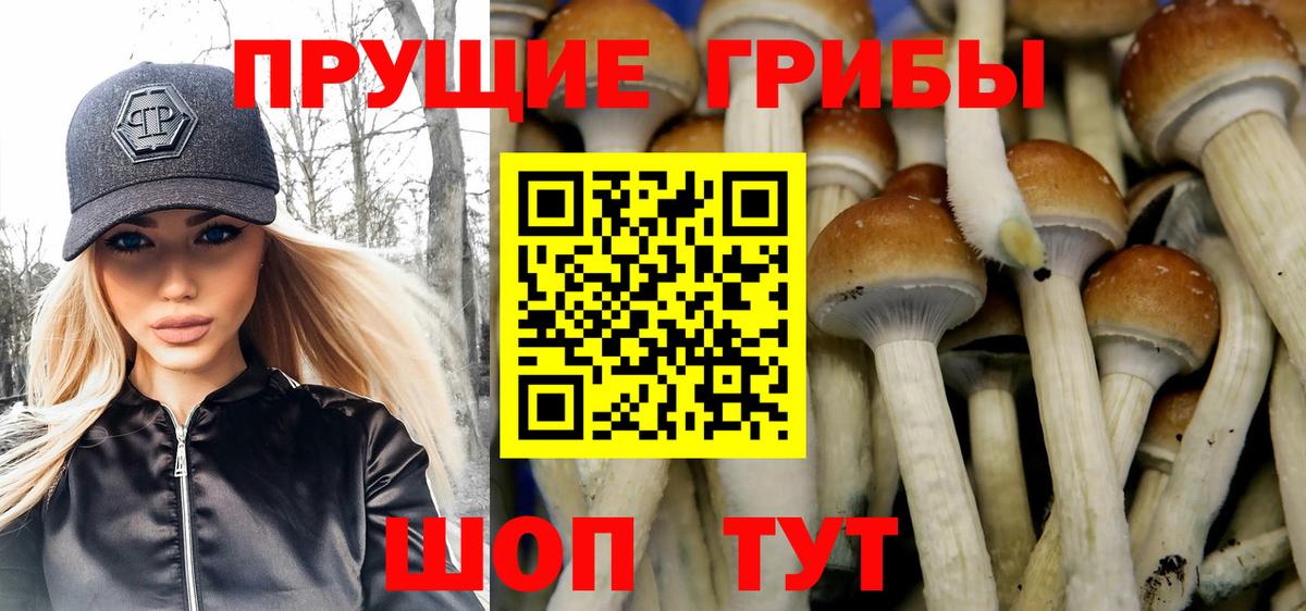 Галлюциногенные грибы прущие грибы Новозыбков