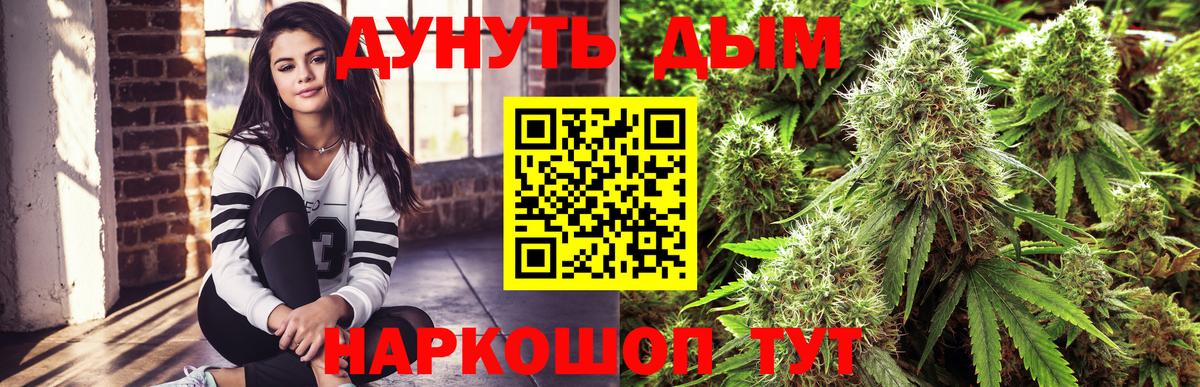 Шишки марихуана план  Вход с VPN  Новозыбков  Канабис Bruce Banner  Канабис Ganja 